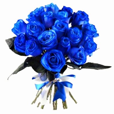 Μπλε τριαντάφυλλα